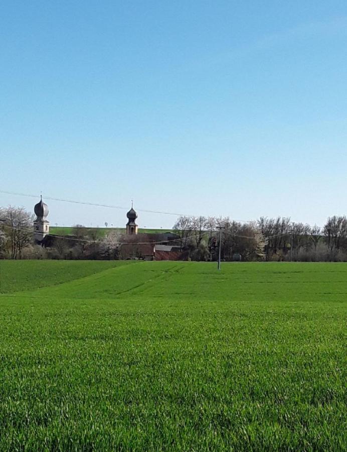 Ferienwohnung - Zimmervermietung Ringelmann Dettelbach Zewnętrze zdjęcie